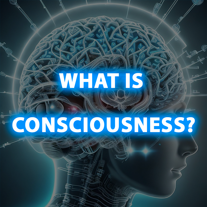 WhatIsConsciousness_